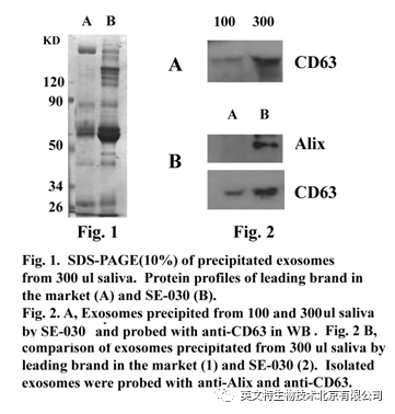 外泌体（Exosome）提取到底要选哪种方法？