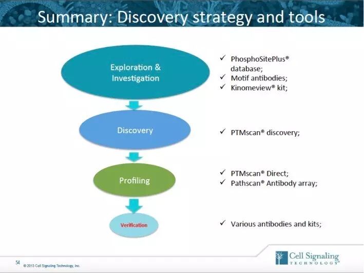 指尖上的PPT，讲述Akt的魅力故事。