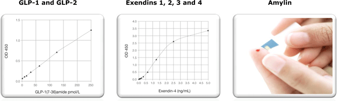 Novel Investigational Tools for Diabetes Mellitus