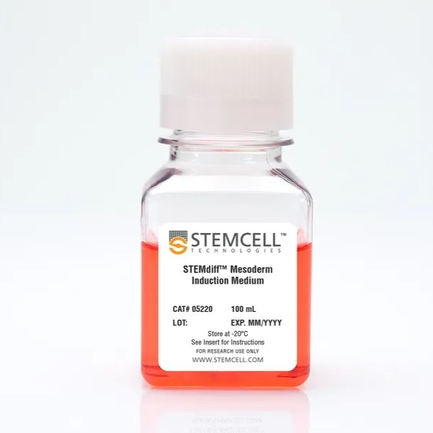 STEMdiff™ Mesoderm Induction培养基