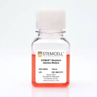 STEMdiff™ Mesoderm Induction培养基