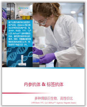 内参/标签抗体手册