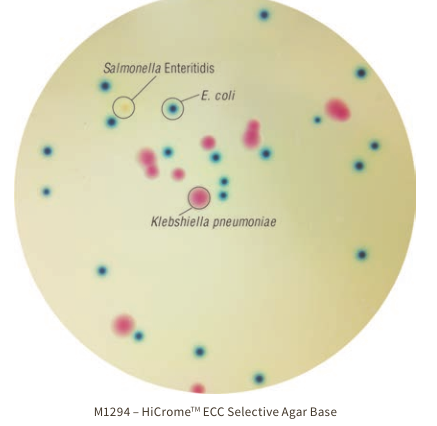 HiMedia显色培养基的优势和特色