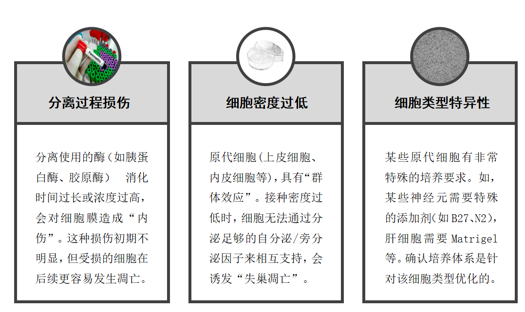 钾离子 4.png 钾离子 4.png