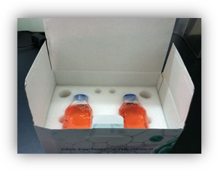 客户细胞培养过程中常见的问题说明【赛百慷】