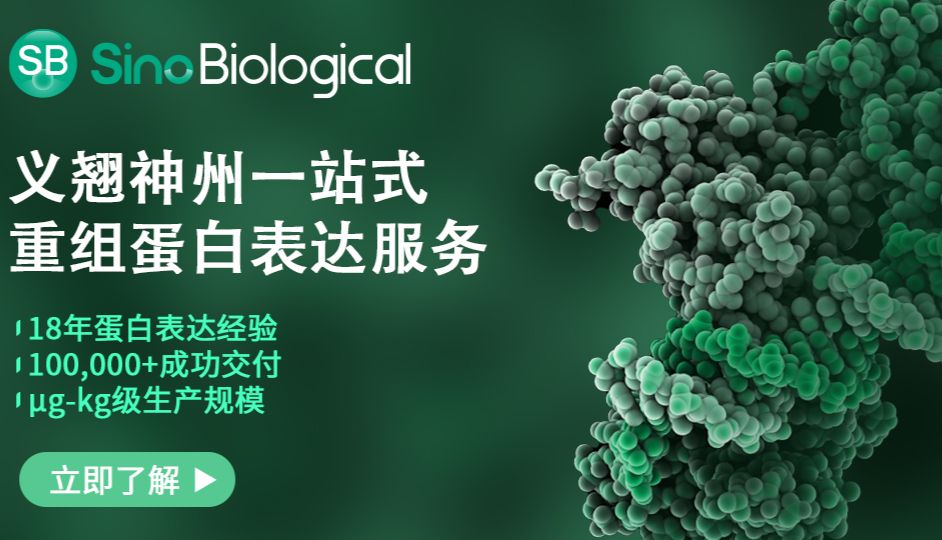 四步决策法+四大表达系统，轻松搞定重组蛋白表达