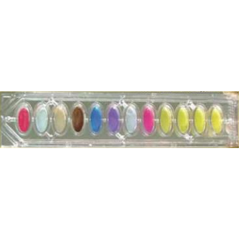 乳酸菌鉴定在乳制品行业中的应用