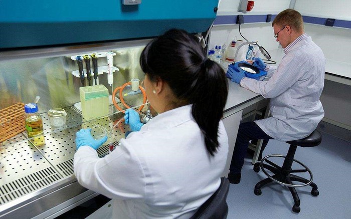 国标GB4789.4—2016 沙门氏菌检验操作步骤