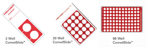 CometSlide彗星分析专用载片与载片架
