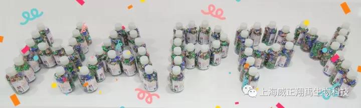 微生物的实验人，开启你的圣诞惊喜时刻吧！