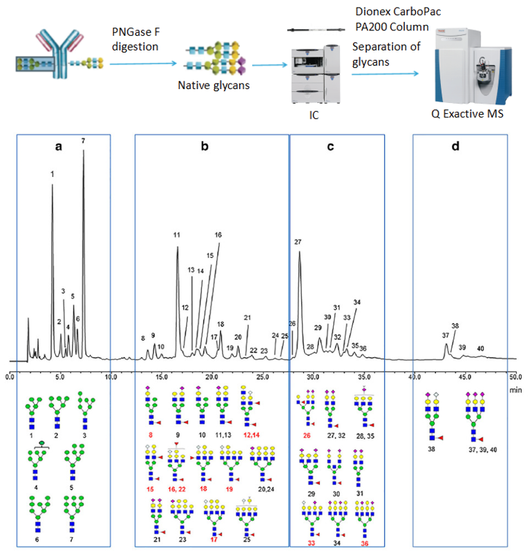 糖基化太复杂？赛默飞离子色谱让你迎糖而上！