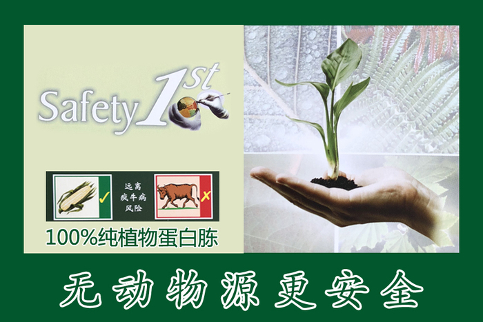 植物源蛋白胨有哪些优点