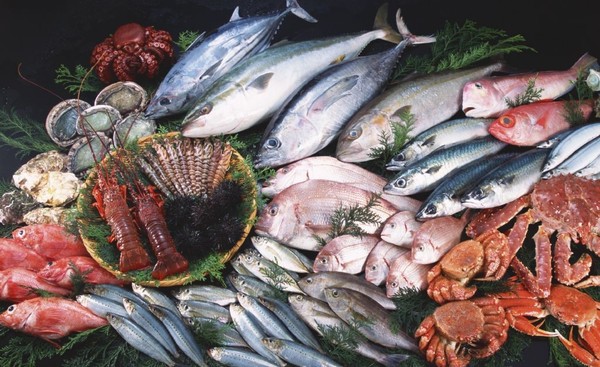 食源性致病菌——副溶血性弧菌