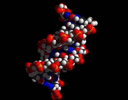 PNAS：科学家阐明参与癌症发生的DNA的可能性突变