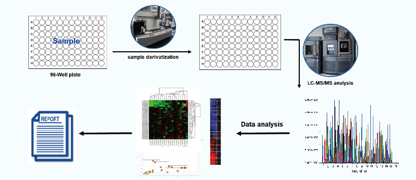 新品发布｜代谢组学臻品--Q300代谢芯片