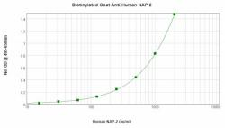 Biotinylated Goat Anti-Human N