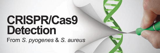 CRISPR/Cas9基因编辑，您买我就送！
