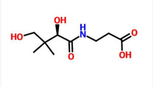 泛酸测定用培养基-威正翔禹|缔一生物