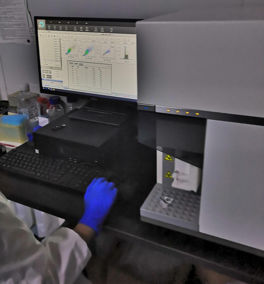 细胞凋亡检测方法