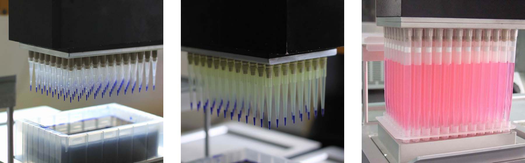 德淙推出世界首款使用通用移液吸头的96道移液器