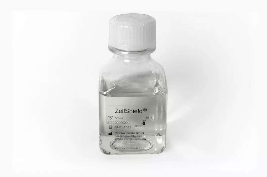 只用一招，简单祛除细胞上的支原体!