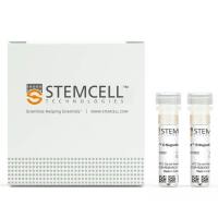 EasySep™ 人 NK 细胞富集试剂盒