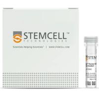 EasySep™ Human CD34 Positive Selection Kit II
