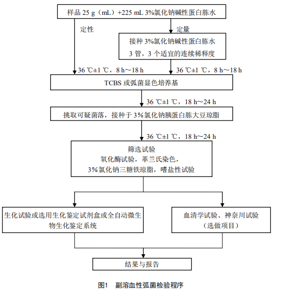 食品安全国家标准中副溶血性弧菌检验的检测程序