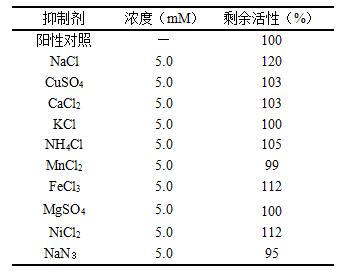 新产品推介—嘌呤核苷磷酸化酶(PNP)