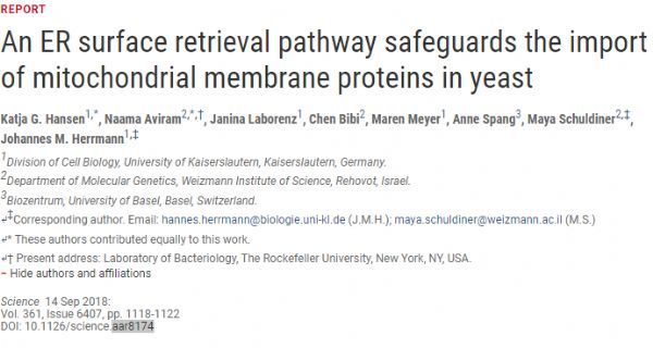 重磅！揭示发现一种新的细胞内蛋白运送途径----ER-SURF