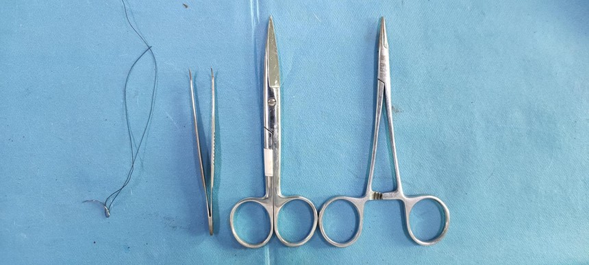 详说细解：大鼠脑外伤动物模型的建立！（组图）