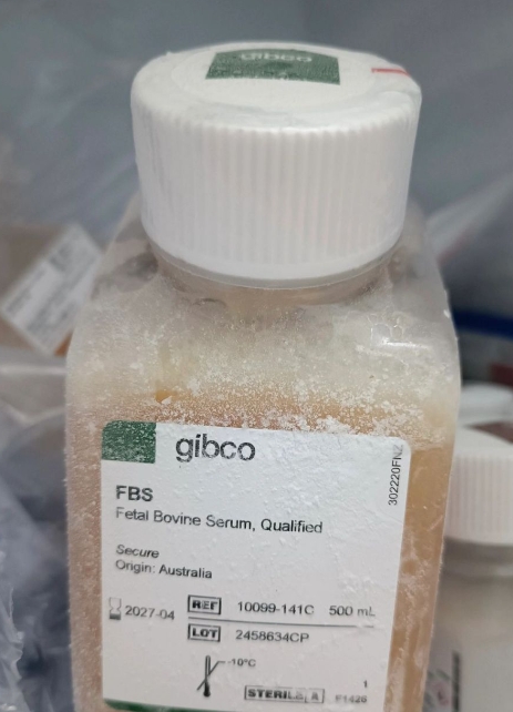 Gibco培养基选购核心指南