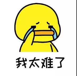 新闻图片6