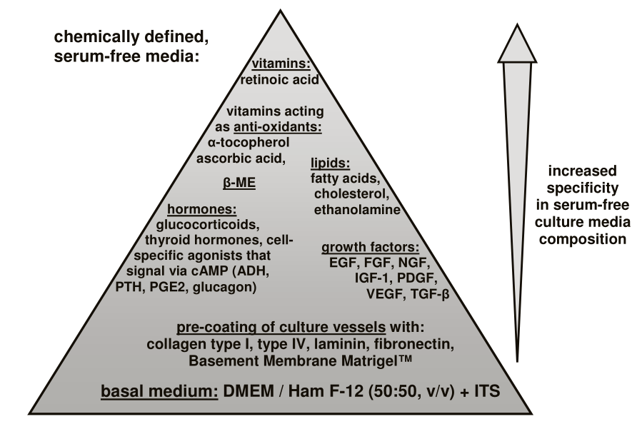 化学限定细胞培养基的优化