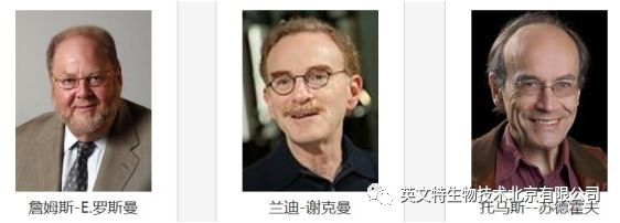 外泌体（Exosome）提取到底要选哪种方法？