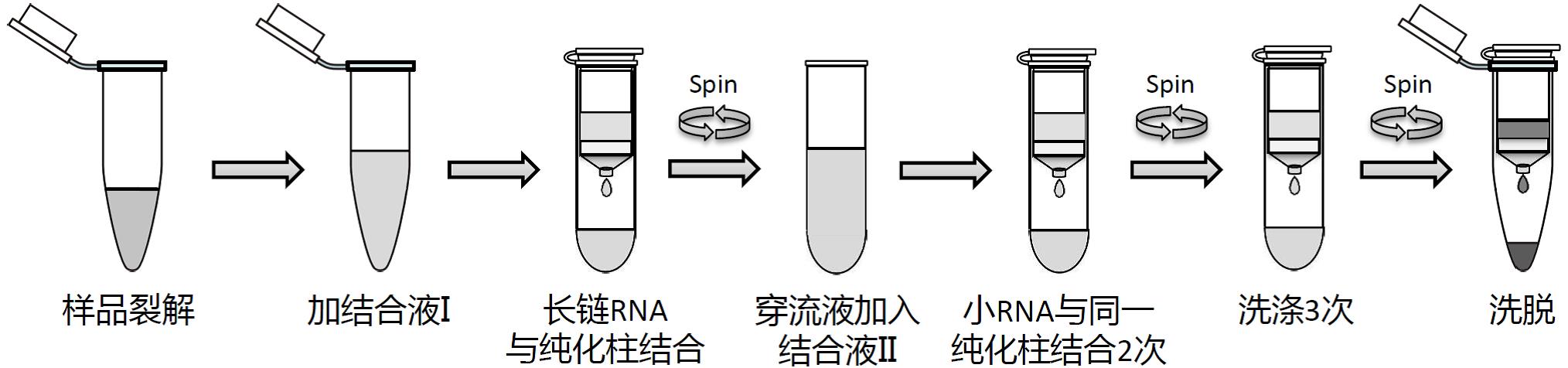 新闻图片13