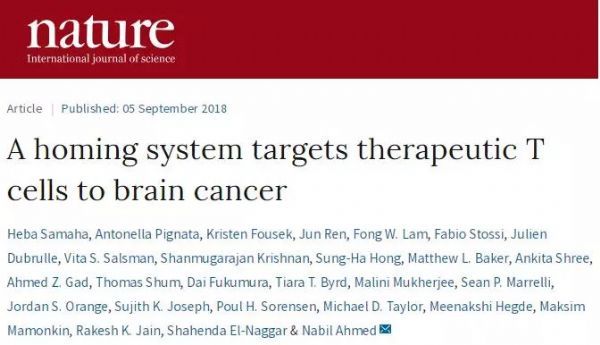 Nature重磅：首次发现T细胞突破血脑屏障的关键机制，准确到达脑肿瘤病灶的CAR-T应运而生