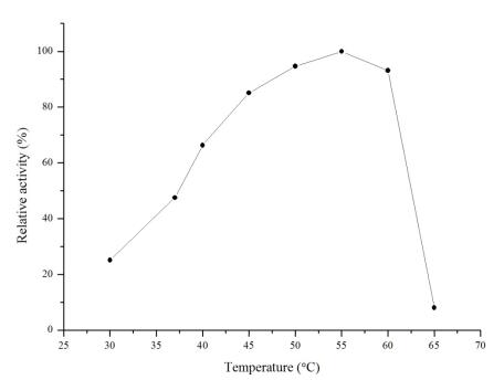 新产品推介—嘌呤核苷磷酸化酶（PNP）