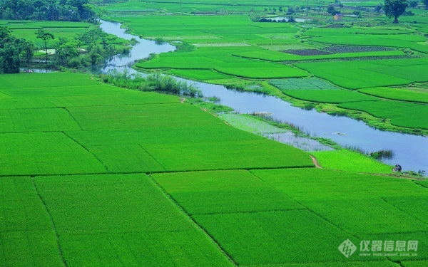 WAKO农残分析前处理用Presep系列固相萃取柱