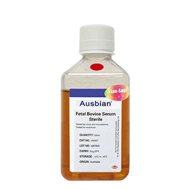 Ausbian细胞治疗专用胎牛血清