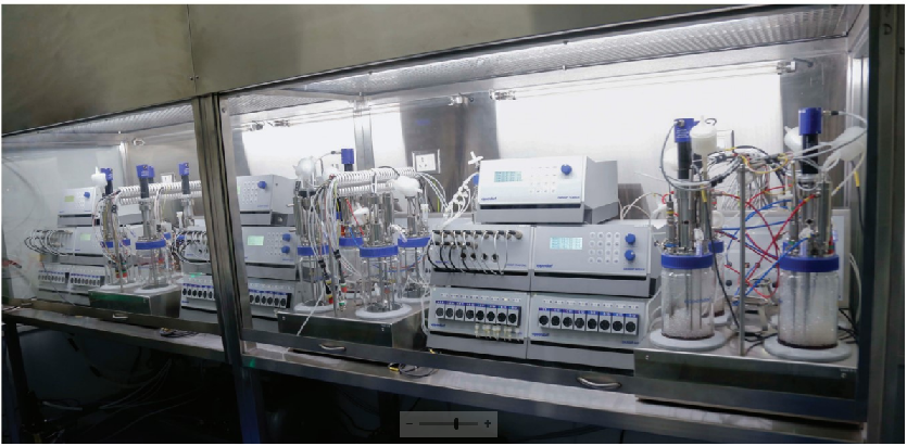 无血清培养基优化的DOE方法