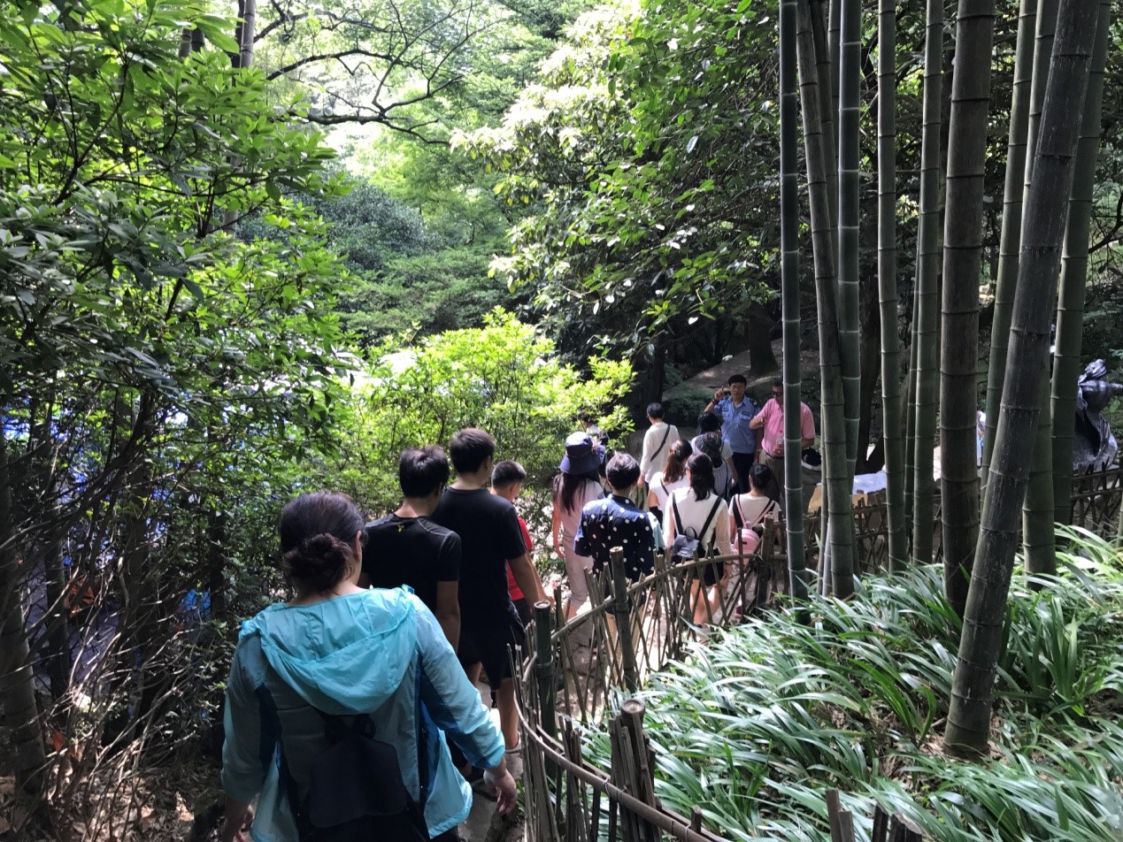 在前行的道路上，我们结伴而行