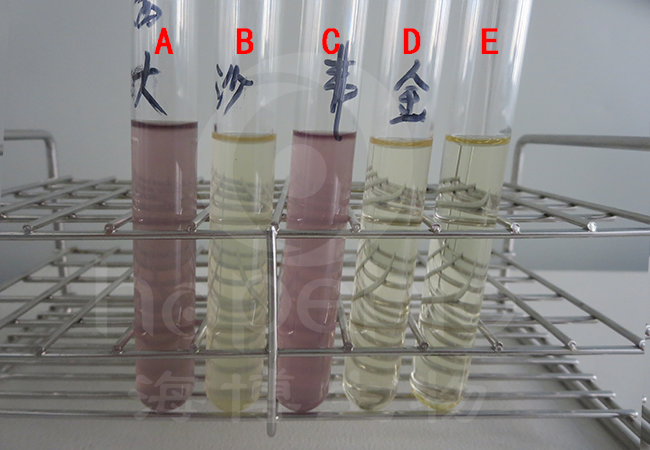 茜素-β-半乳糖苷肉汤的原理及实验现象(青岛海博生物原创)