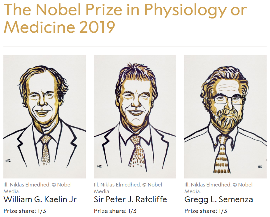 直击诺奖|『氧感应机制』荣获2019年诺贝尔生理或医学奖