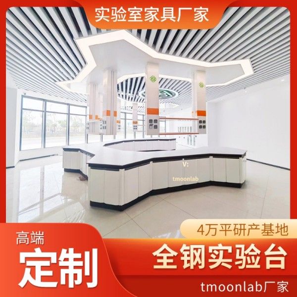 实验室家具厂家天盟专业定制研发实验台通风柜