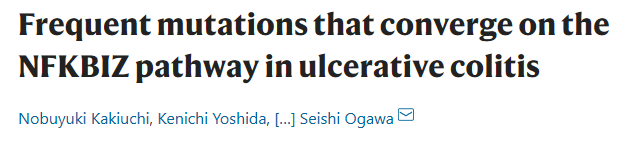 新文速递——溃疡性结肠炎NFKBIZ通路上的频繁突变