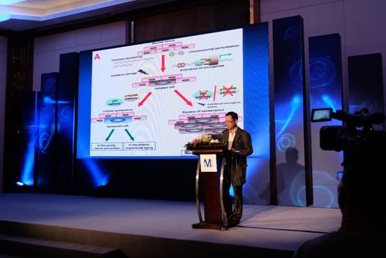 新流式 新技术——默克密理博生物科学亚洲峰会落幕