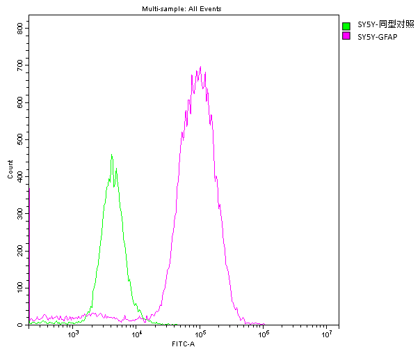神经胶质纤维酸性蛋白（GFAP）单克隆抗体