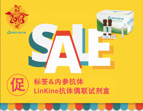 Abbkine新年促销买一送二，更有8折贺新年！