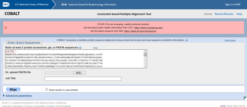 蛋白序列比对和进化树的绘制 蛋白序列比对和进化树的绘制